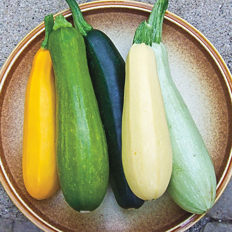 Grilled Summer Squash