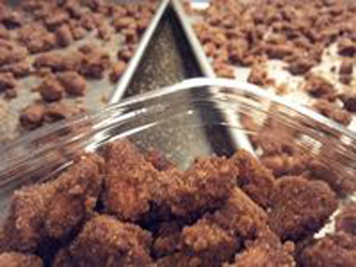 110_cinnamon-almonds-in-the-crockpot_200